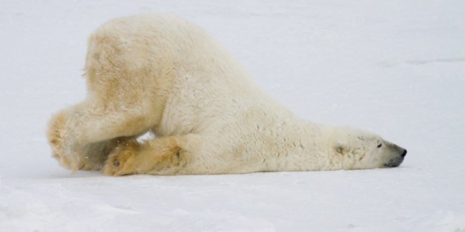 Have you been languishing too? A blog by REALTOR Sandy Walsh of Exact Home Team