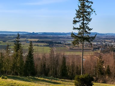 18616 Quail Drive, listed by Realtor Sandy Walsh of Exact Home Team