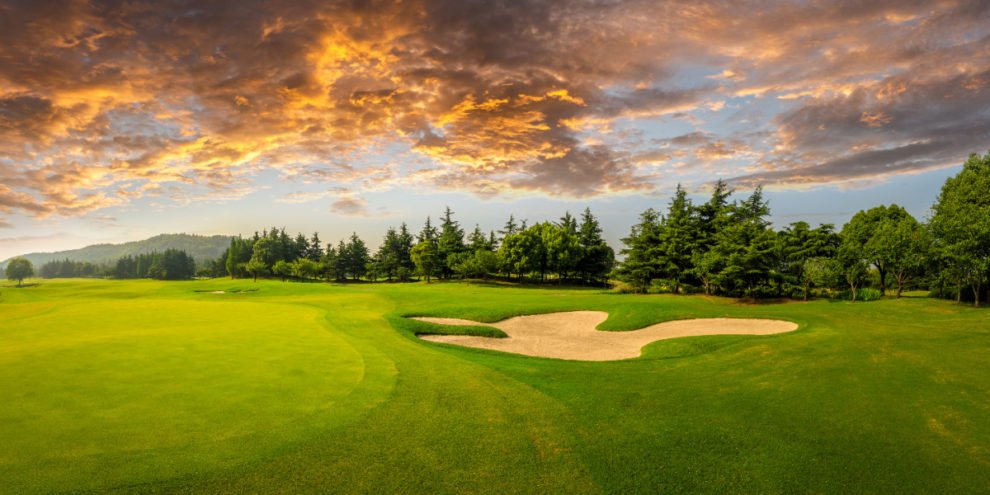 Steps Toward the Goal, a Blog by REALTOR Sandy Walsh of Exact Home Team