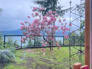 19748 NW Stavis Bay Rd. Seabeck, WA 98380 Listed by Sandy Walsh of Exact Home Team