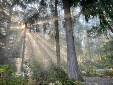 19748 NW Stavis Bay Rd. Seabeck, WA 98380 Listed by Sandy Walsh of Exact Home Team